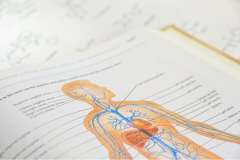 研究活動・著書